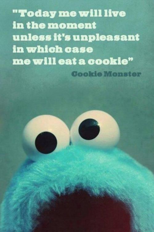 cookie monster life.jpg